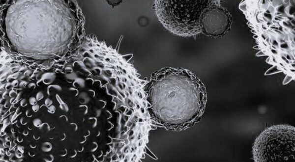 L’état de la recherche 2024 dans les cancers digestifs