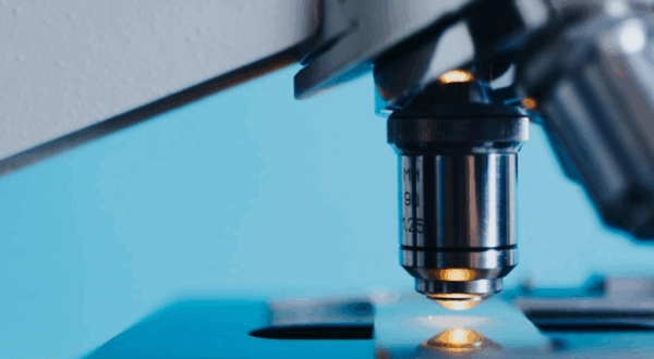 Formation « le système de santé en mutation »